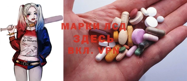 индика Арсеньев
