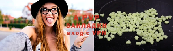 индика Арсеньев