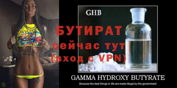индика Арсеньев