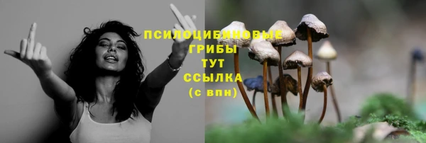ГАЛЛЮЦИНОГЕННЫЕ ГРИБЫ Армянск