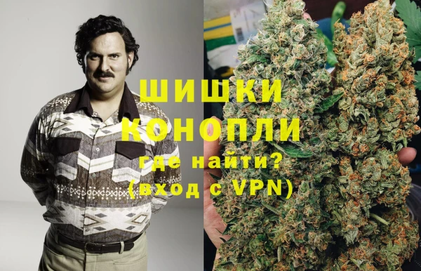 сатива Аркадак