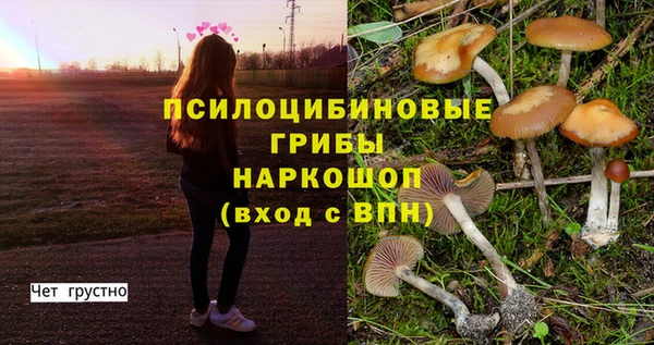 индика Арсеньев