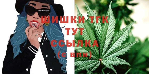 сатива Аркадак