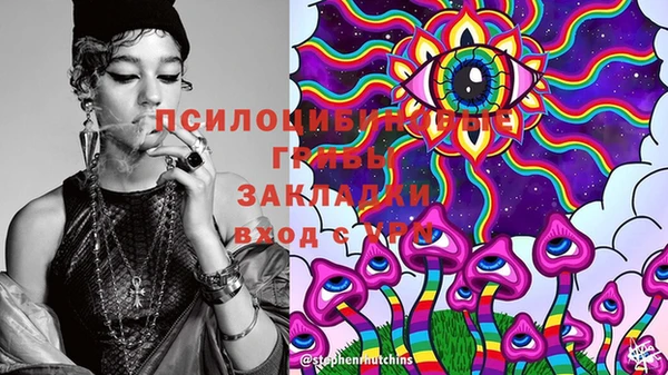 индика Арсеньев