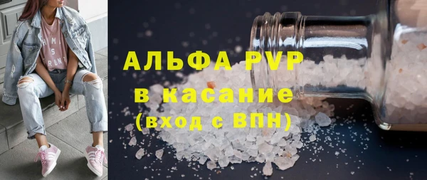 индика Арсеньев