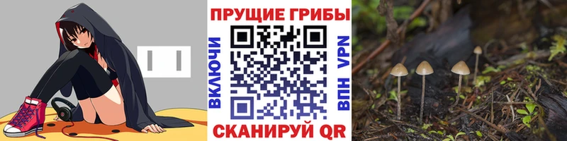 гидра ССЫЛКА  Валдай  Галлюциногенные грибы Cubensis 